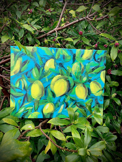 "Citrus tree"